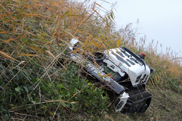 Herbhy30_1511_r-25 informar