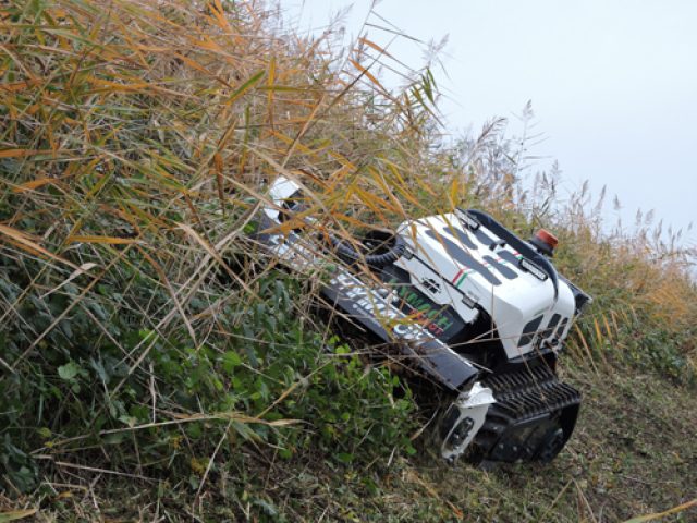 Herbhy30_1511_r-25 informar